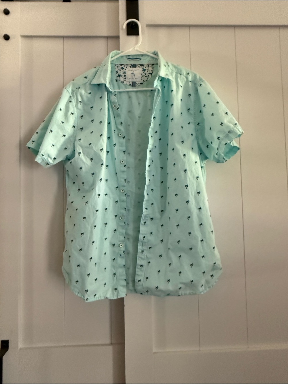 Men's Short-Sleeve Mint Button-Down Shirt with Palm Print